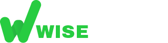 logo_wise_startup